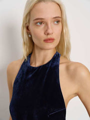 Avielle Velvet Dress