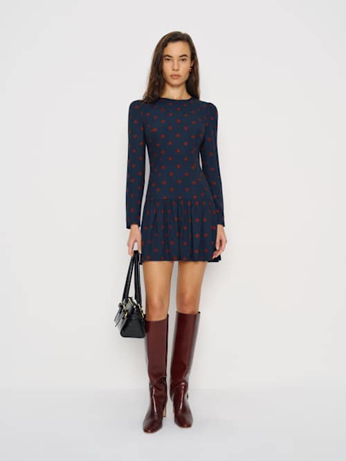 Vaila Dress